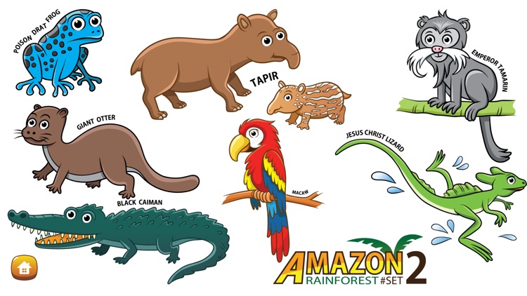 Colouring Me: Amazon Rainforest