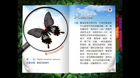 昆蟲馬戲團