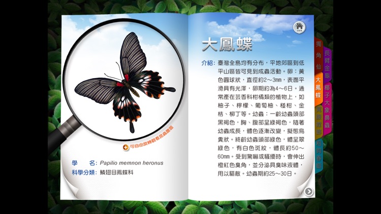 昆蟲馬戲團 screenshot-4