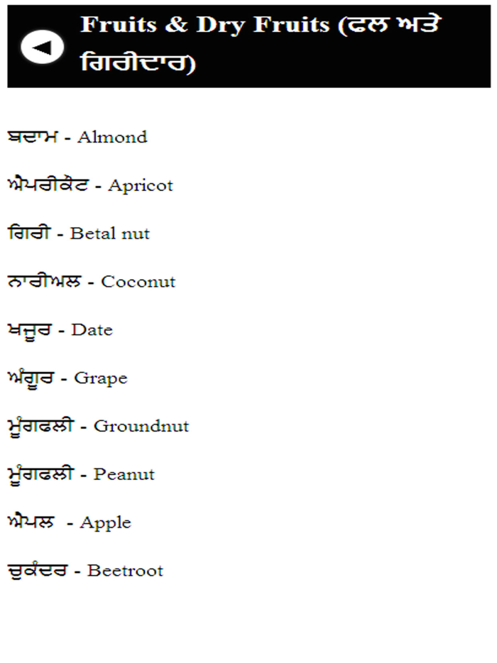 punjabi english speaking course