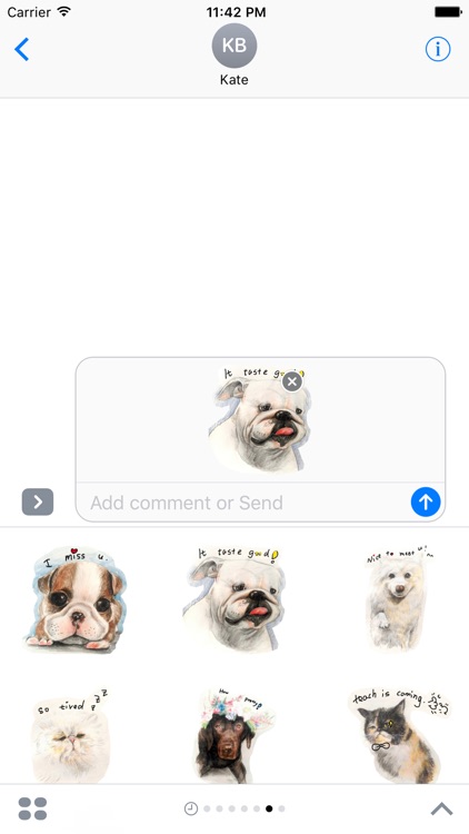 Adorable dog & cute cat