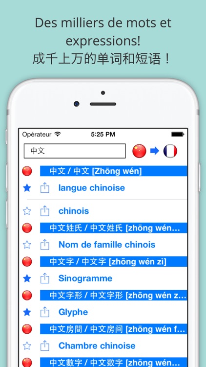 Offline French Chinese Dictionary with Voice