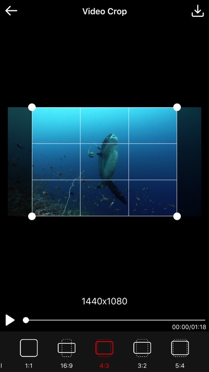 Video Crop - Crop and Resize Video
