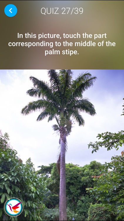 Jardin Botanique de Deshaies screenshot-4