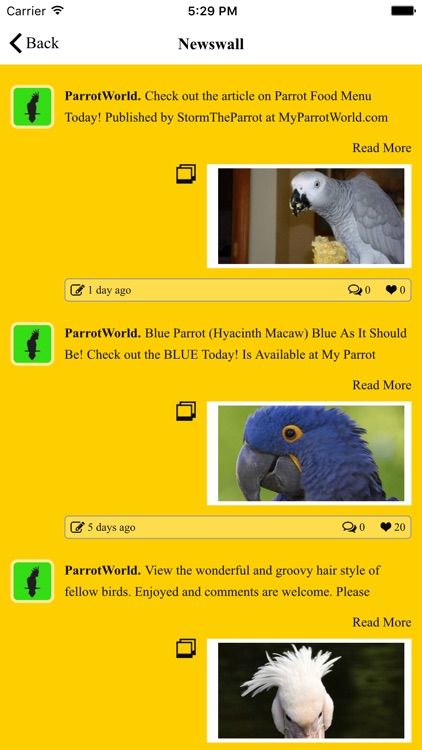 ParrotWorld