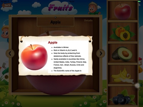 kids Memory – fruits, animals, vegetables, flowers; kids educational app, children memory app screenshot 2