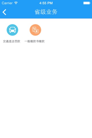 安徽非税 screenshot 3