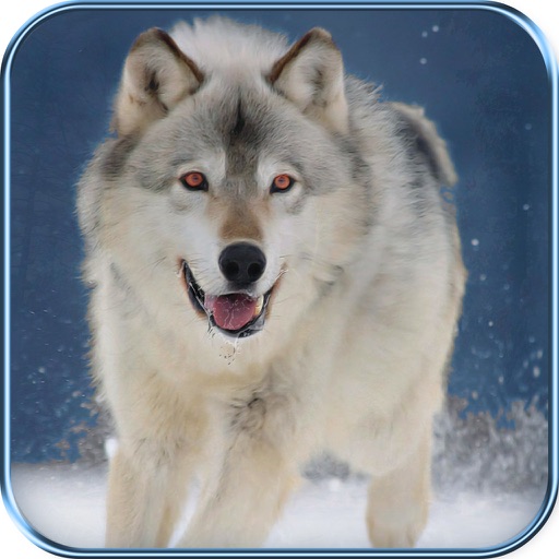 Wild Hunt : Snow World iOS App