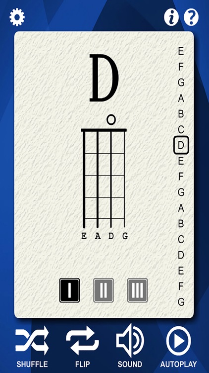Bass Guitar Flash Cards