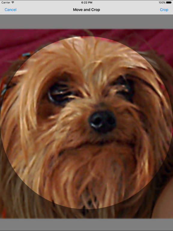 My Photo Sizer iPad screenshot 5 - Photo & Video app