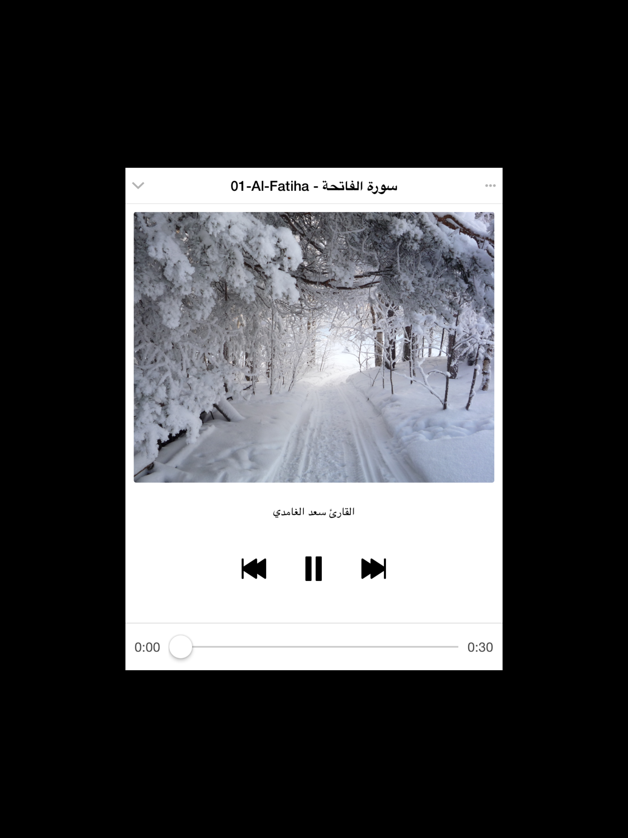 Quran mp3 - Saad Al Ghamdi - سعد الغامدي