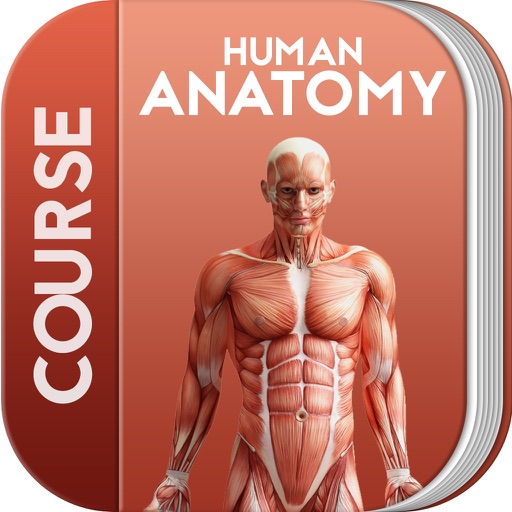 Human Anatomy™ icon