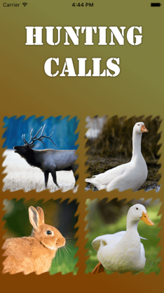 Hunting Calls 2016 screenshot 1