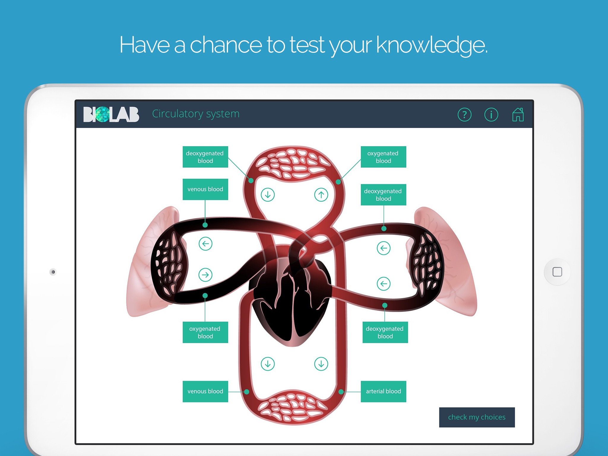 Biolab - your personal biology lab screenshot 4