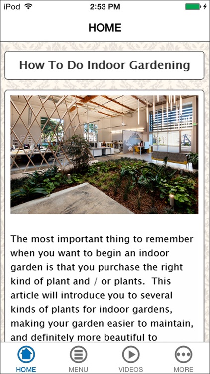 Learn Indoor Gardening for Every Month of The Year
