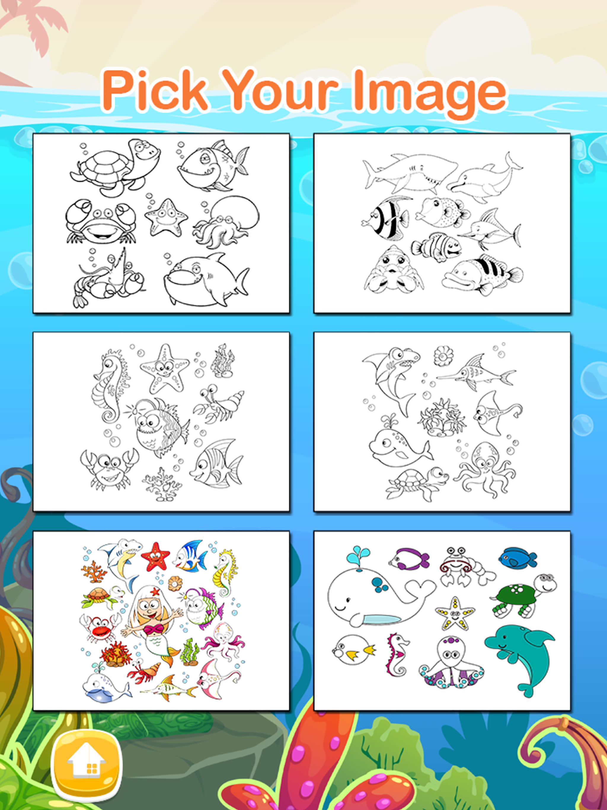 Sea Animals Coloring Pages for Preschool and Kindergarten HD Free