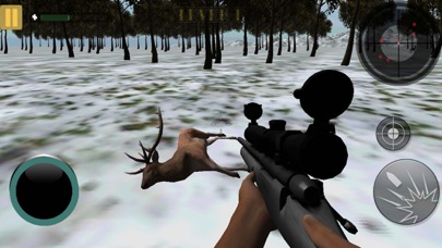 Stag Hunting In Jungle 2