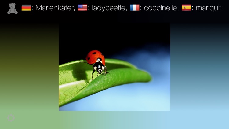 First Words - A Multilingual Picture Book screenshot-4