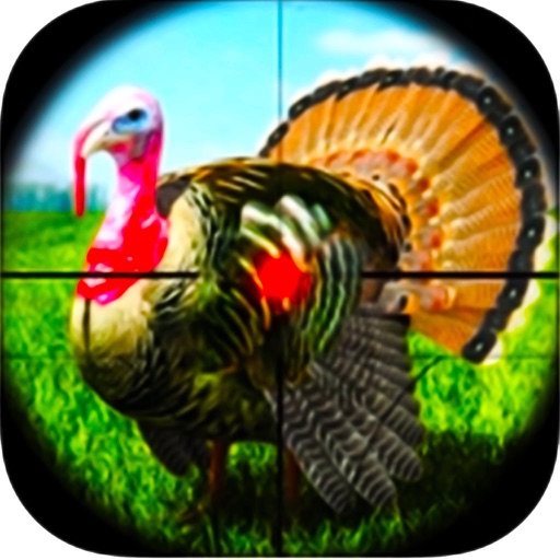 Turkey Bird Shooting Adventure