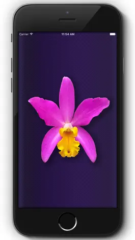 Game screenshot Orchid Collection mod apk