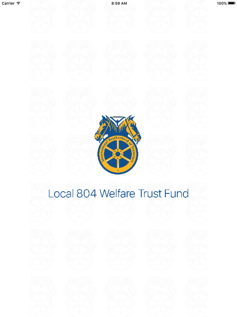 Local 804 screenshot 5