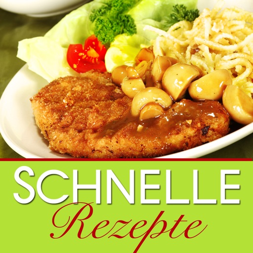 Schnelle Rezepte - Blitzrezepte unter 30 Minuten kochen