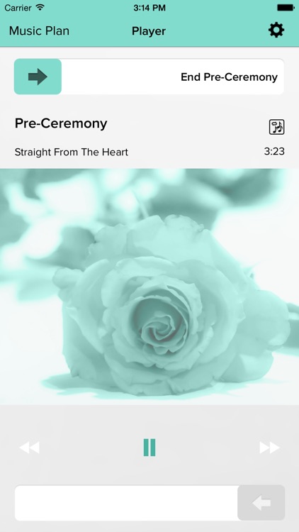 WeddingDJ - Plan and play your wedding music screenshot-0