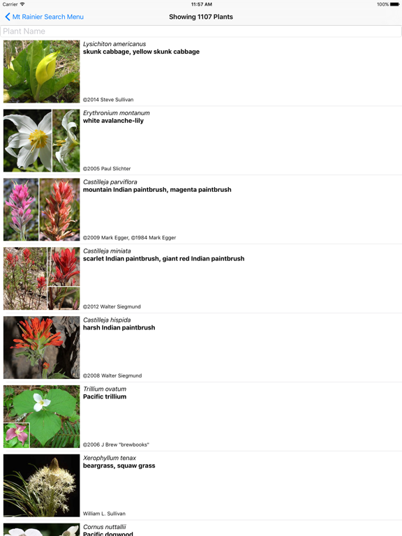 Screenshot #5 pour Mt Rainier Wildflowers