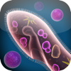Cell and Cell Structure - GP Strategies Corporation