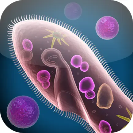 Cell and Cell Structure Читы