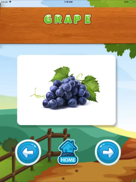 Fruit English Vocabulary Sound