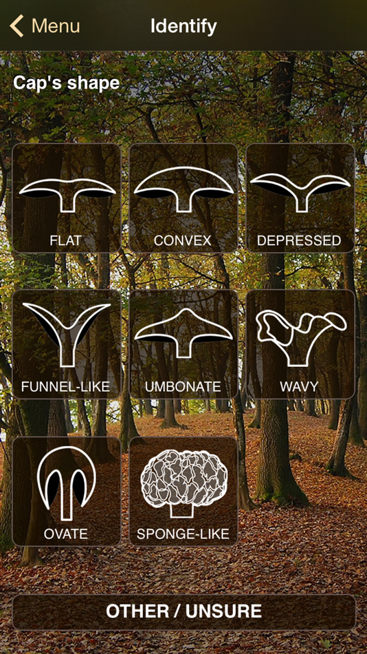 #2. iFunch Lite - Mushrooms (iOS) 由: MAAB Labs
