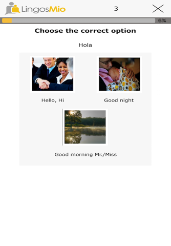 LingosMio screenshot 3