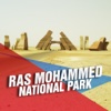 Ras Mohammed National Park Tourism