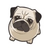 Pugmoji Stickers