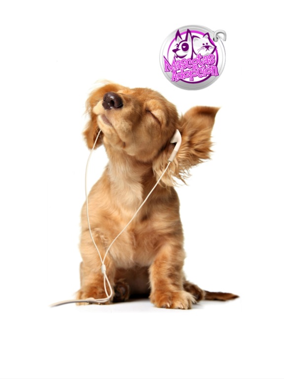 Screenshot #4 pour Mascotas en Adopción
