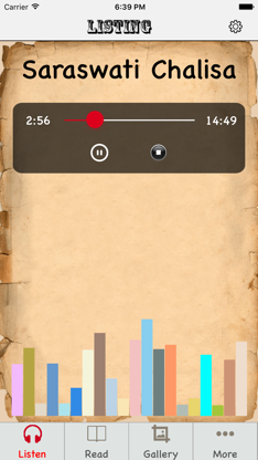 Saraswati Chalisa with Audio screenshot 3