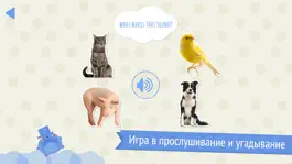 Game screenshot Domi Domi Listen And Guess - слушай и угадывай apk