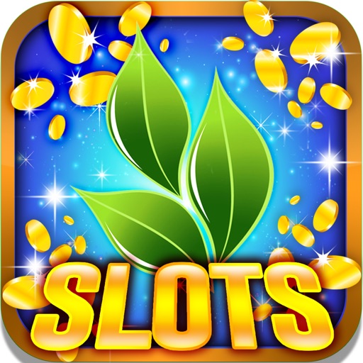 Mega Natural Slots: Be the earthly betting winner Icon