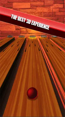 Game screenshot 3D Bowling King Game : The Best Bowl Game of 3D Bowler Games 2016 mod apk