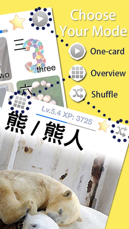 Unlock 15 Languages for 300+ Flashcards