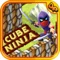 Adventure of Cube Ninja