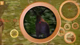 Game screenshot Wild Animals Hunting Archer hack