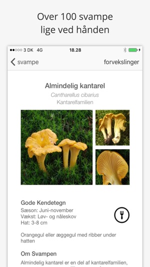 SvampeGuide