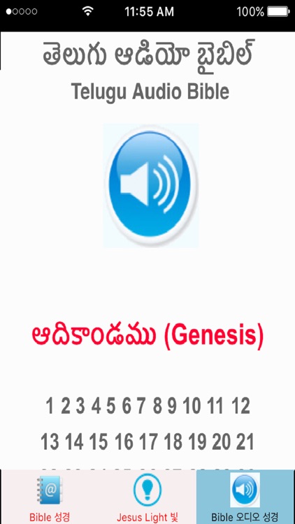 Telugu Bible Dravidian Indian with Telugu Audio Bible screenshot-3