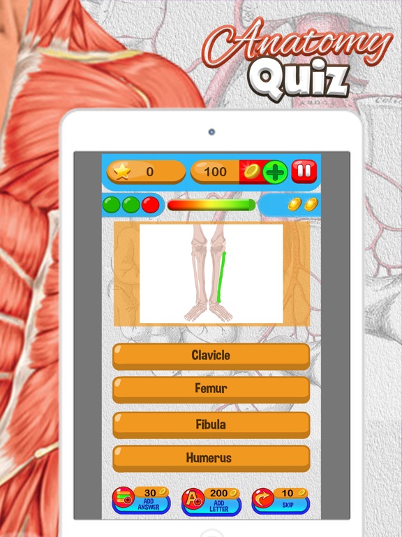 Screenshot #5 pour Anatomie Quiz Gratuit Science Éducation Jeu