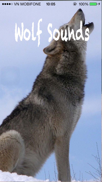 Screenshot #1 pour Wolf Sounds - Gray wolf Sounds