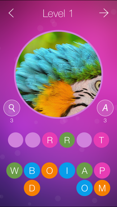 What's the Photo? ~ Free Close up Game Quiz Screenshot