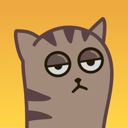Fixel the Snob cat