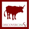 Discover Cinisi